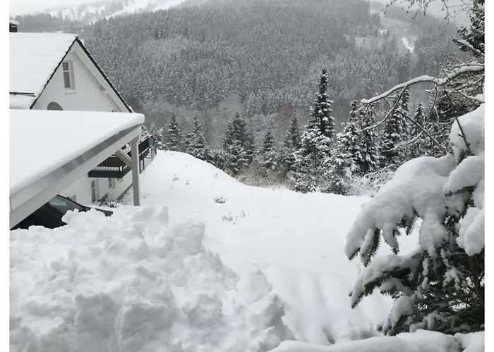 Apartment Ritzhagen In Willingen (Upland)